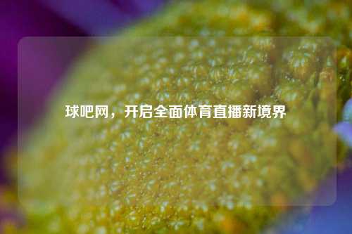 球吧网,开启全面体育直播新境界