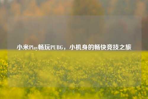 小米Play畅玩PUBG，小机身的畅快竞技之旅