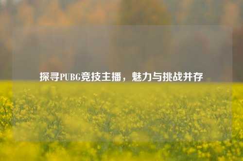 探寻PUBG竞技主播，魅力与挑战并存