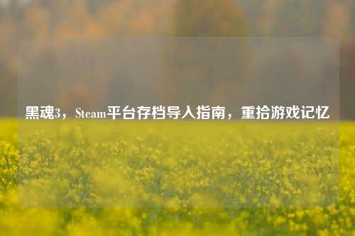 黑魂3，Steam平台存档导入指南，重拾游戏记忆