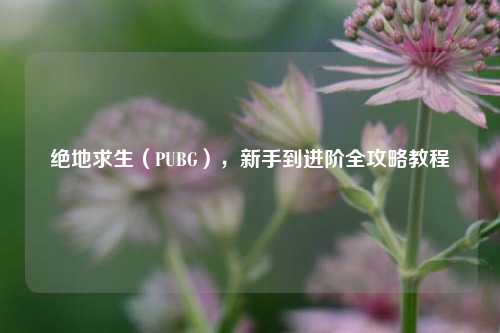 绝地求生(PUBG),新手到进阶全攻略教程