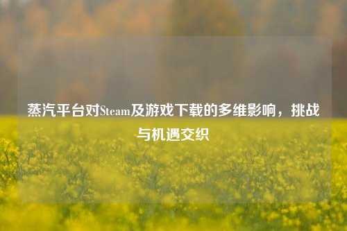 蒸汽平台对Steam及游戏下载的多维影响,挑战与机遇交织