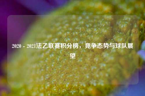 2020 - 2021法乙联赛积分榜，竞争态势与球队展望