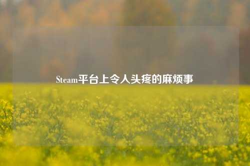 Steam平台上令人头疼的麻烦事
