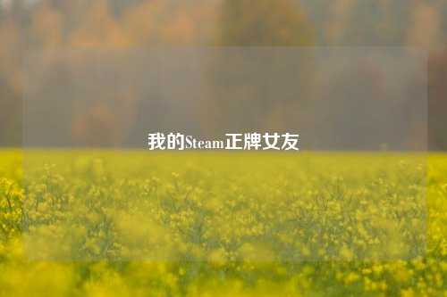 我的Steam正牌女友