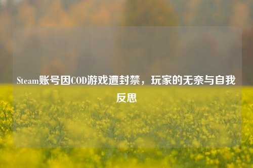 Steam账号因COD游戏遭封禁，玩家的无奈与自我反思