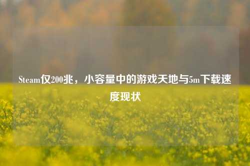 Steam仅200兆，小容量中的游戏天地与5m下载速度现状