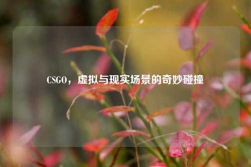 CSGO，虚拟与现实场景的奇妙碰撞