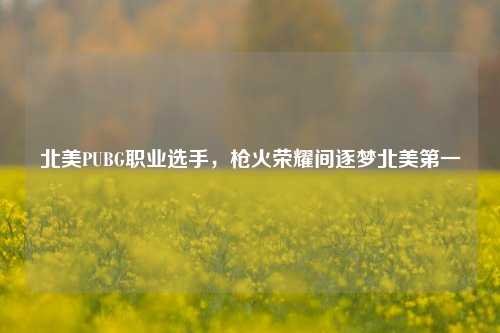 北美PUBG职业选手，枪火荣耀间逐梦北美第一