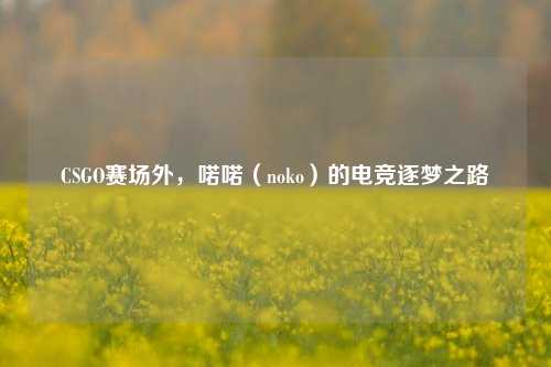 CSGO赛场外,喏喏(noko)的电竞逐梦之路