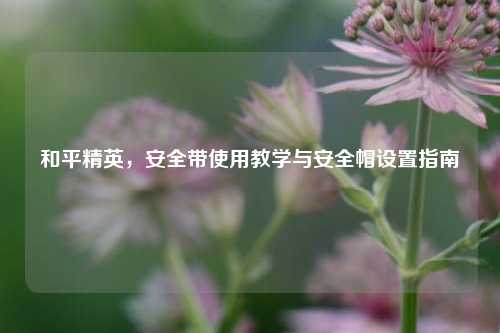 和平精英，安全带使用教学与安全帽设置指南