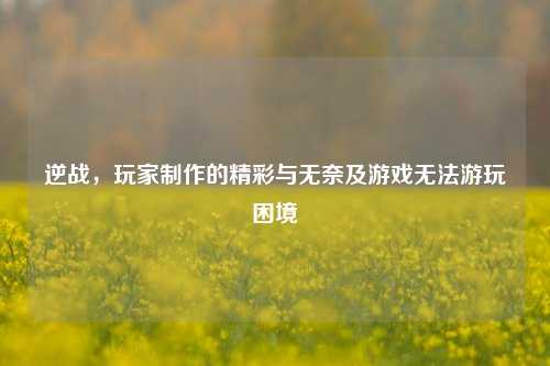 逆战,玩家制作的精彩与无奈及游戏无法游玩困境