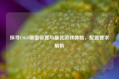 探寻CSGO画面设置与最优游戏体验，配置要求解析