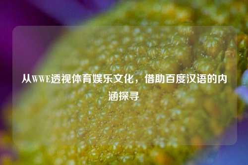 从WWE透视体育娱乐文化,借助百度汉语的内涵探寻