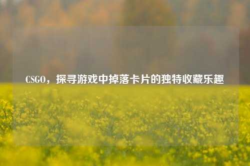 CSGO，探寻游戏中掉落卡片的独特收藏乐趣