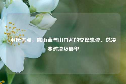羽坛焦点，陈雨菲与山口茜的交锋轨迹、总决赛对决及展望