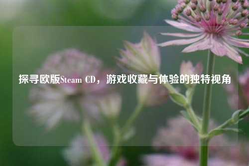 探寻欧版Steam CD，游戏收藏与体验的独特视角