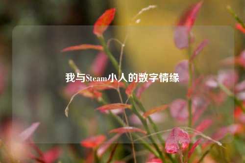 我与Steam小人的数字情缘