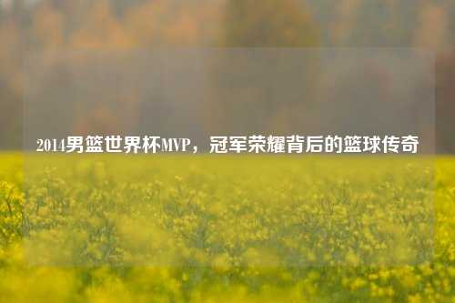 2014男篮世界杯MVP，冠军荣耀背后的篮球传奇