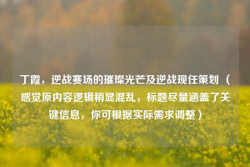 丁霞,逆战赛场的璀璨光芒及逆战现任策划 (感觉原内容逻辑稍显混乱,标题尽量涵盖了关键信息,你可根据实际需求调整)