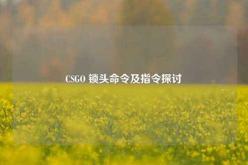 CSGO 锁头命令及指令探讨