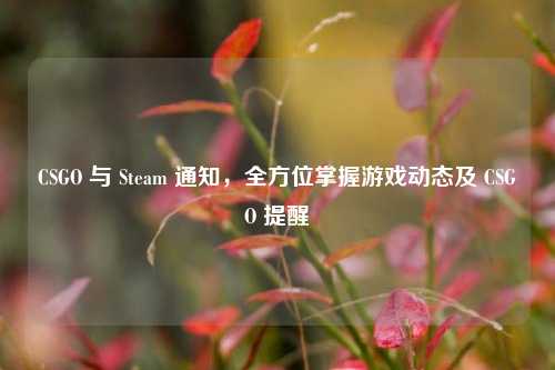 CSGO 与 Steam 通知,全方位掌握游戏动态及 CSGO 提醒