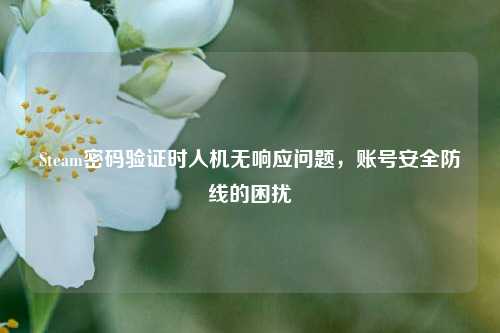 Steam密码验证时人机无响应问题，账号安全防线的困扰