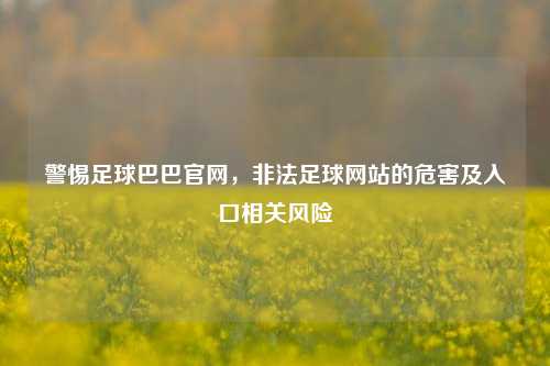 警惕足球巴巴官网，非法足球网站的危害及入口相关风险