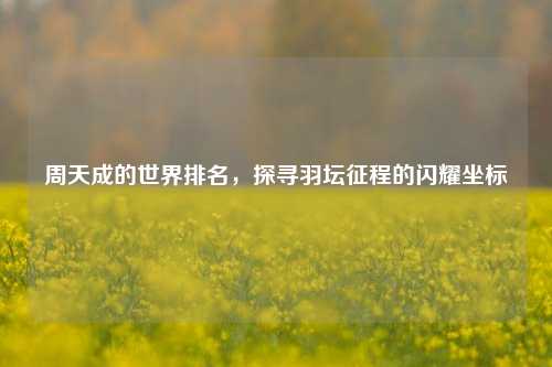 周天成的世界排名，探寻羽坛征程的闪耀坐标