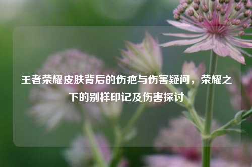 王者荣耀皮肤背后的伤疤与伤害疑问,荣耀之下的别样印记及伤害探讨