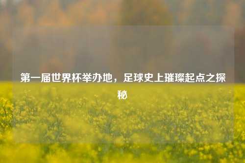第一届世界杯举办地，足球史上璀璨起点之探秘