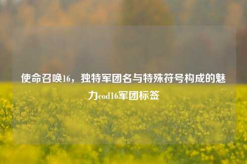 使命召唤16，独特军团名与特殊符号构成的魅力cod16军团标签