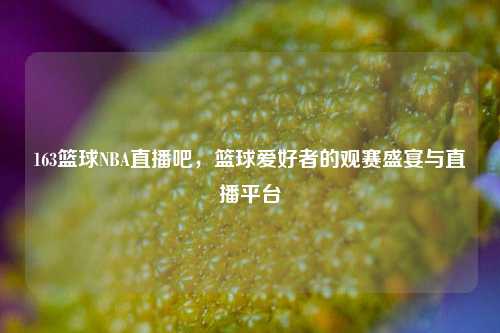163篮球NBA直播吧，篮球爱好者的观赛盛宴与直播平台