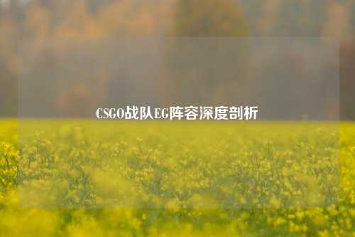 CSGO战队EG阵容深度剖析