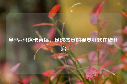 皇马vs马洛卡直播，足球盛宴的视觉狂欢在线开启