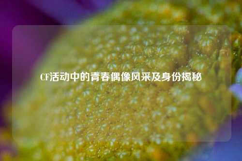 CF活动中的青春偶像风采及身份揭秘