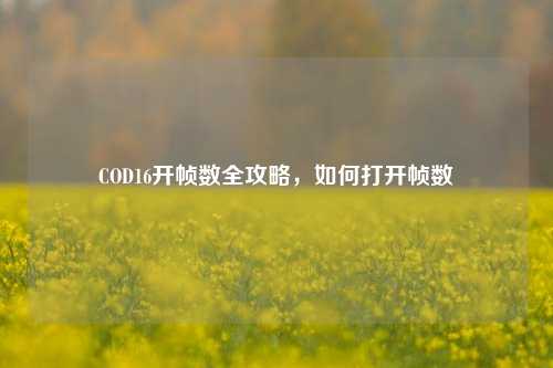 COD16开帧数全攻略，如何打开帧数