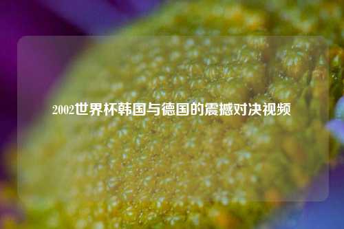 2002世界杯韩国与德国的震撼对决视频