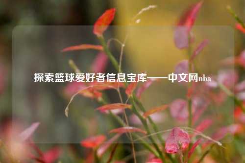 探索篮球爱好者信息宝库——中文网nba