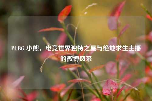 PUBG 小熊，电竞世界独特之星与绝地求生主播的微博风采