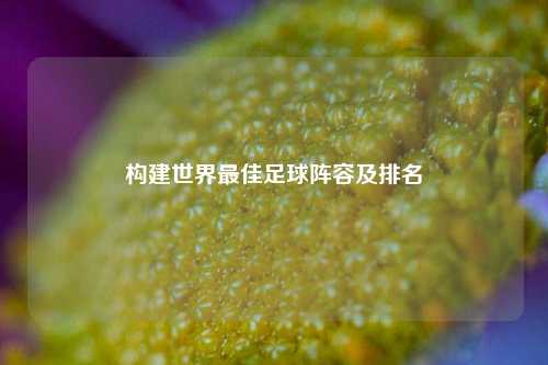 构建世界最佳足球阵容及排名