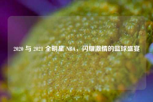 2020 与 2021 全明星 NBA，闪耀激情的篮球盛宴