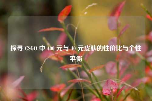 探寻 CSGO 中 400 元与 40 元皮肤的性价比与个性平衡