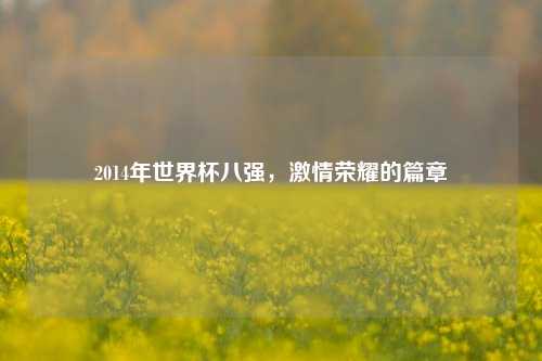 2014年世界杯八强，激情荣耀的篇章