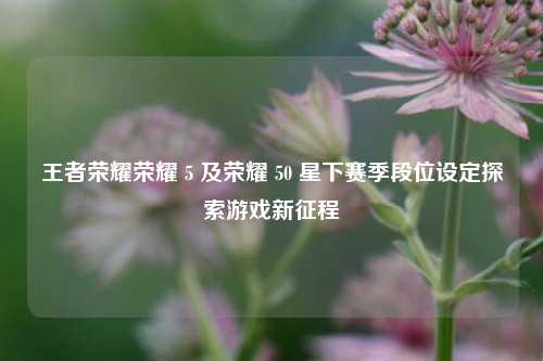 王者荣耀荣耀 5 及荣耀 50 星下赛季段位设定探索游戏新征程