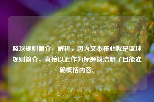 篮球规则简介,解析,因为文本核心就是篮球规则简介,直接以此作为标题简洁明了且能准确概括内容。