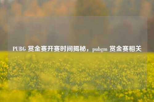 PUBG 赏金赛开赛时间揭秘,pubgm 赏金赛相关