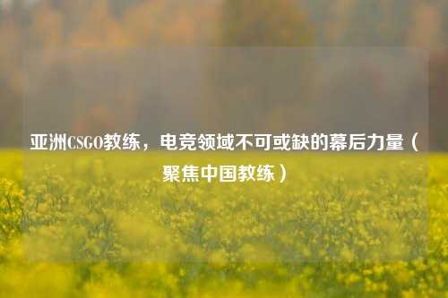 亚洲CSGO教练,电竞领域不可或缺的幕后力量(聚焦中国教练)