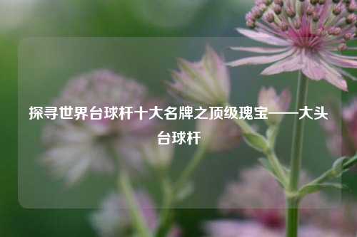 探寻世界台球杆十大名牌之顶级瑰宝——大头台球杆