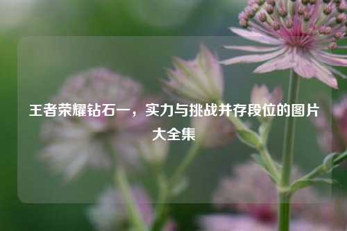 王者荣耀钻石一,实力与挑战并存段位的图片大全集